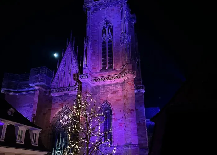 Le Nid De La Cathedrale