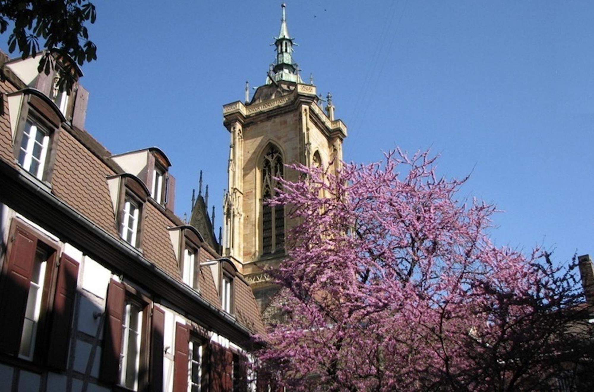 Le Nid De La Cathedrale